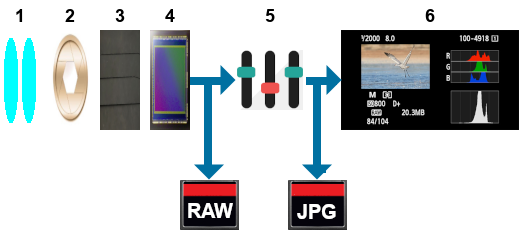 Réglages dans un appareil reflex