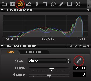 Balance des blancs sur Capture One