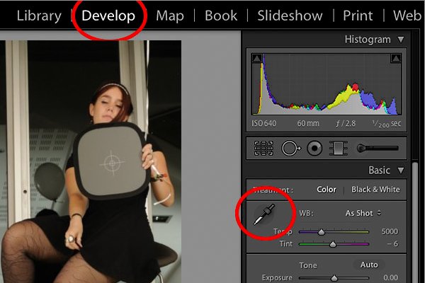 Balance des blancs sur Lightromm