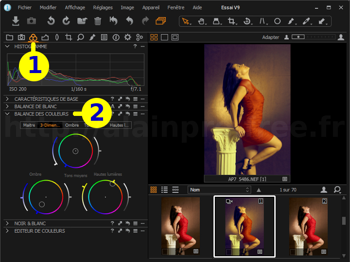 Capture One - Cross-provessing / Développement croisé