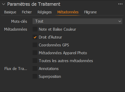 Onglet 'Métadonnées' - Paramétrage des sorties - Capture One