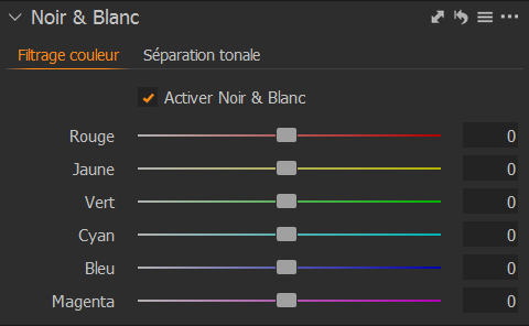 Outil de conversion en noir et blanc sur Capture One