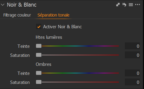 Outil de conversion en noir et blanc de Capture One
