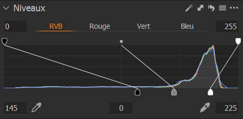 Réglage des niveaux dans Capture One
