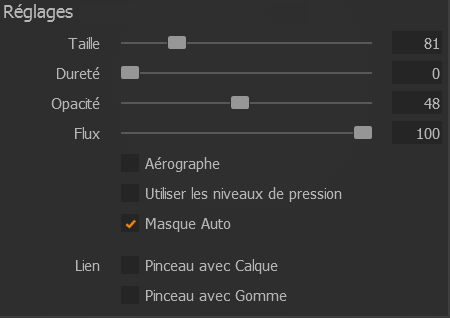 Paramètres des outils de dessin du masque sur Capture One