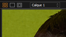 Liste des calques sur Capture one