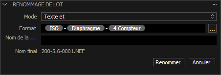 Insérer exif - Capture One