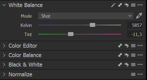 One of the Capture One tools