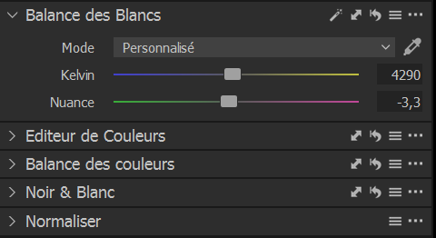 Un des outils de Capture One
