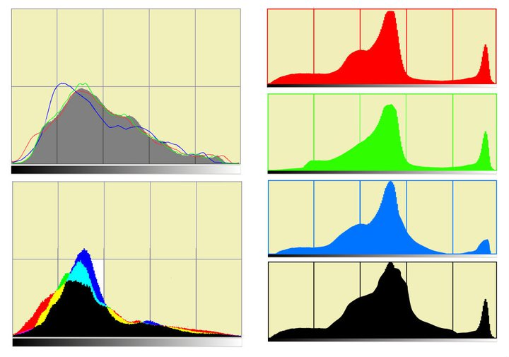 Histogramme